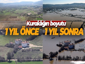 Bir yıl önce, bir yıl sonra