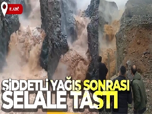 Şiddetli yağış sonrası şelale taştı