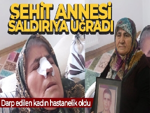 Sokak ortasında saldırıya uğrayan şehit annesi hastanelik oldu