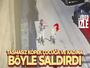 Tasmasız köpek çocuğa ve kadına böyle saldırdı