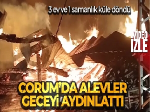 Alevler geceyi aydınlattı: 3 ev ve 1 samanlık küle döndü