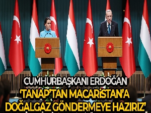 Cumhurbaşkanı Erdoğan: 'TANAP'tan Macaristan'a doğalgaz göndermeye hazırız'