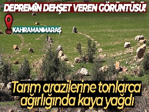 Depremin dehşet veren görüntüsü: Tarım arazilerine tonlarca ağırlığında kaya yağdı