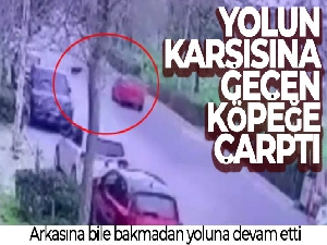 Yolun karşısına geçen köpeğe çarptı, arkasına bile bakmadan yoluna devam etti