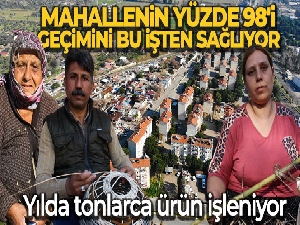 Yılda tonlarca ürün işlenen mahallenin yüzde 98'i geçimini bu işten sağlıyor
