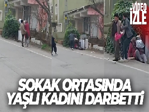 Pendik'te yaşlı kadına tekme tokat şiddet kamerada