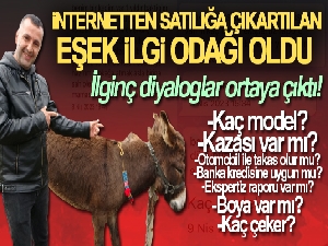Pendik'te, internetten 7 bin 500 TL'ye satışa çıkarılan eşek ilgi odağı oldu