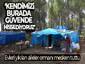 Evleri yıkılan aileler ormanı mesken tuttu: 'Kendimizi burada güvende hissediyoruz'