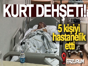 Erzurum'da kurt dehşeti: 5 yaralı