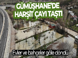 Gümüşhane'de şiddetli yağışların ardından taşan Harşit Çayı nedeniyle bahçeler gölete döndü