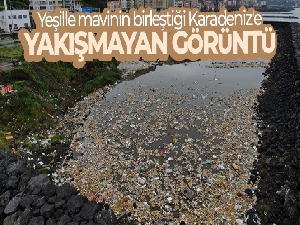 Yeşille mavinin birleştiği Karadeniz'e yakışmayan görüntü