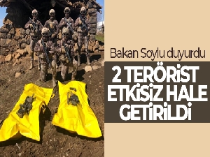 Van'da 1'i mavi kategoride olan 2 terörist etkisiz hale getirildi