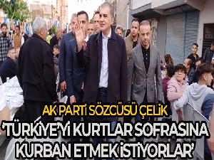 AK Parti Sözcüsü Çelik: 'Türkiye'yi kurtlar sofrasına kurban etmek istiyorlar'