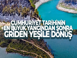 Cumhuriyet tarihinin en büyük yangınından sonra griden yeşile dönüş