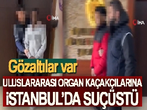 Uluslararası organ kaçakçılarına İstanbul'da suçüstü: 6 gözaltı