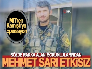 MİT'ten Kamışlı'ya operasyon