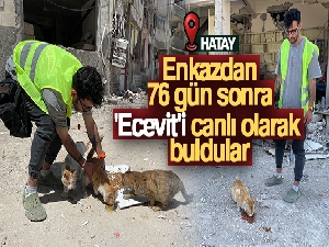 Enkazdan 76 gün sonra 'Ecevit'i canlı olarak buldular