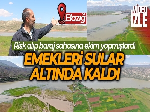 Risk alıp baraj sahasına ekim yapmışlardı: Emekleri sular altında kaldı