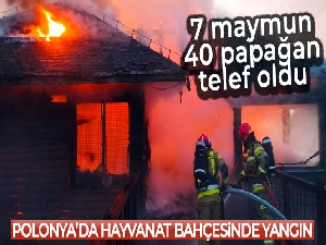 Polonya'da hayvanat bahçesinde yangın: 7 maymun, 40 papağan telef oldu