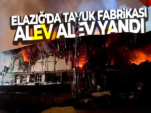Elazığ'da tavuk fabrikası alev alev yandı