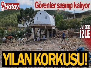 Yılandan korkup çadırını yapının üstüne kurdu