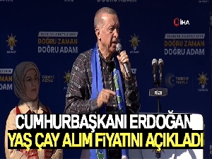 Cumhurbaşkanı Erdoğan yaş çay alım fiyatını açıkladı