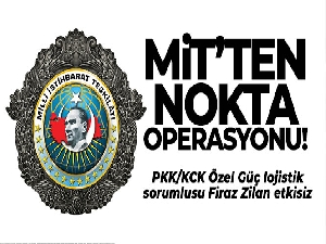 MİT'ten Gara'da nokta operasyon