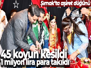 Şırnak'ta 45 koyunun kesildiği aşiret düğününde yarım kilo altın, 1 milyon lira para takıldı