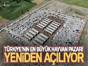 Türkiye'nin en büyük hayvan pazarı yeniden açılıyor