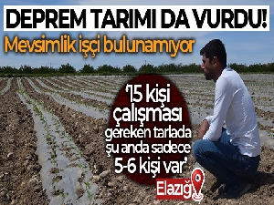 Deprem tarımı da vurdu, mevsimlik işçi bulunamıyor