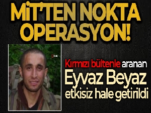Mit, PKK/KCK'nın sözde özel cephe sorumlusu Eyvaz Beyaz'ı etkisiz hale getirdi