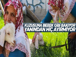 Kuzusuna bebek gibi bakıyor, yanından hiç ayırmıyor