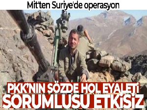PKK'nın Sözde Hol eyaleti sorumlusu etkisiz hale getirildi