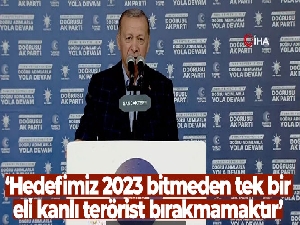 Cumhurbaşkanı Erdoğan: 'Yarın sandıkları bayram yerine çevireceğiz'