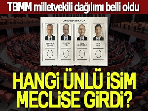 Milletvekilliği genel seçimlerinde meclise giren ünlü isimler