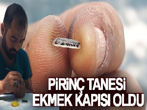 Pirinç tanesi ekmek kapısı oldu