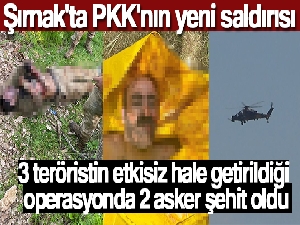 Şırnak'ta 3 teröristin etkisiz hale getirildiği operasyonda 3 asker şehit oldu