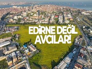 Istanbul'da Kanola Tarlası manzarası görenleri mest etti