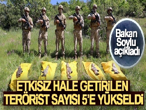 Bakan Soylu, Şırnak'ta etkisiz hale getirilen terörist sayısının 5'e yükseldiğini duyurdu