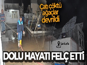 Ceylanpınar'da dolu hayatı felç etti: Çatı çöktü, ağaçlar devrildi