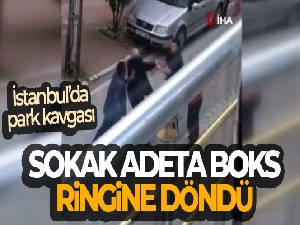 Park kavgasında sokak adeta boks ringine döndü