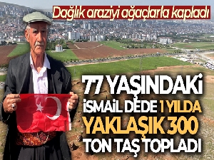 77'lik İsmail dede, 300 ton taş topladığı dağlık araziyi ağaçlarla kapladı