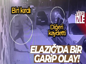 Elazığ'da bir garip olay: Biri kırdı, diğeri kaydetti
