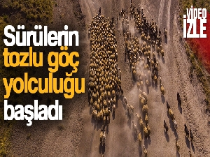 Sürülerin tozlu göç yolculuğu başladı