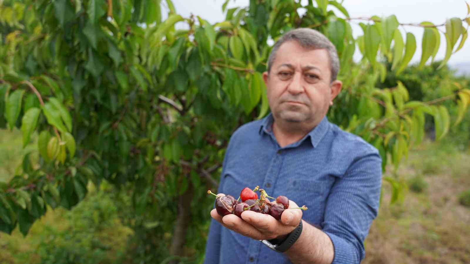 tokat-ta-asiri-yagis-kirazi-vurdu