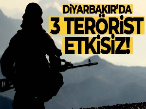 Bakan Soylu duyurdu: Diyarbakır Lice'de 3 terörist daha etkisiz hale getirildi