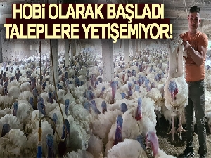 Hobi olarak başladığı hindi yetiştiriciliğinde taleplere yetişemiyor