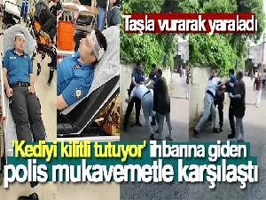 Pendik'te polise mukavemet: Polisi kafasına taşla vurarak yaraladı