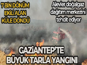 Gaziantep'te 7 bin dönüm buğday tarlası yandı