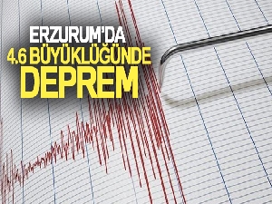 Erzurum 4,6 ile sallandı